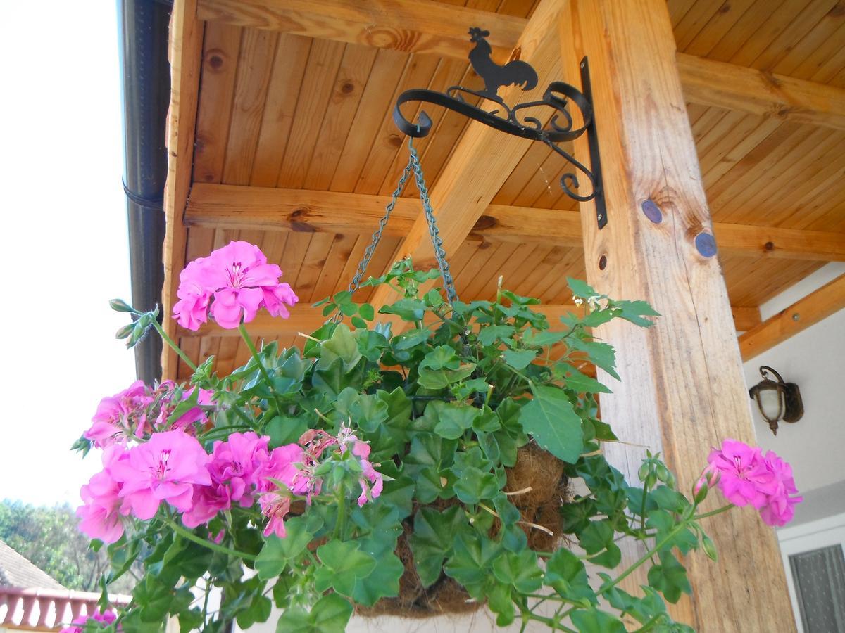 Villa Ani Gorna Kovachitsa Bagian luar foto